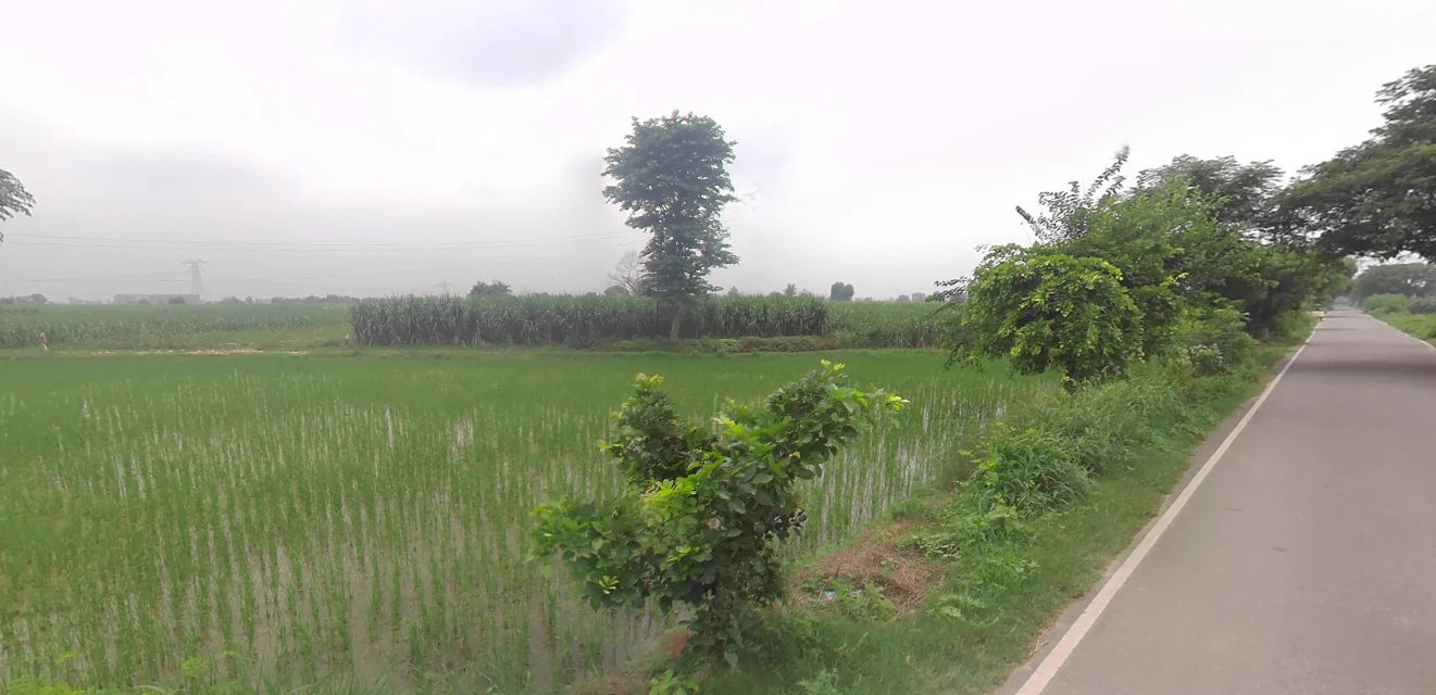 Bharra, Uttar Pradesh 203405, India preview 2