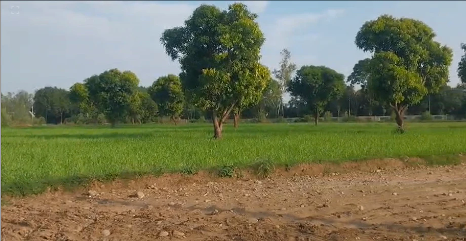 4GF9+F6P, Bhopal, Madhya Pradesh, India