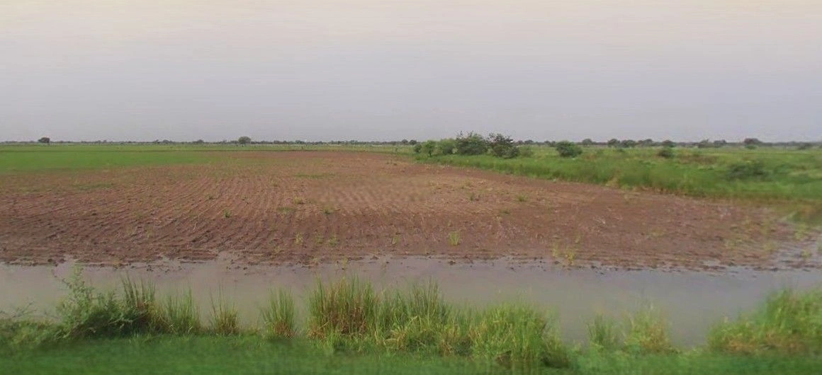 Thakurdwara, Uttar Pradesh 244601, India