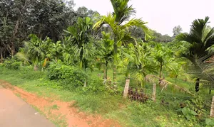 Belthangady, Karnataka 574214, India preview 3