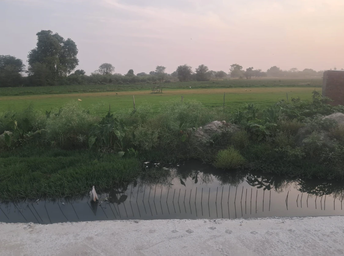 Dusarana, Punjab 140103, India