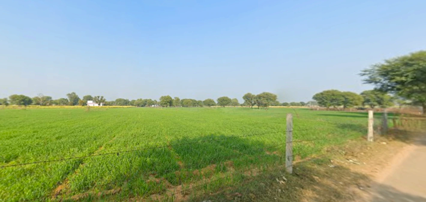 Sutana, Haryana 132105, India