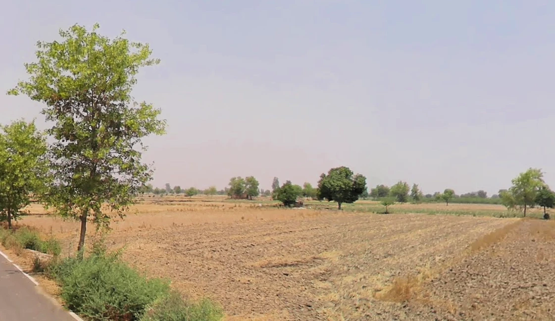 Hisar, Haryana, India