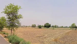 Hisar, Haryana, India preview 3