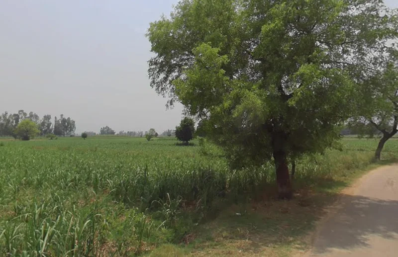 Hastinapur, Uttar Pradesh 250404, India preview 3