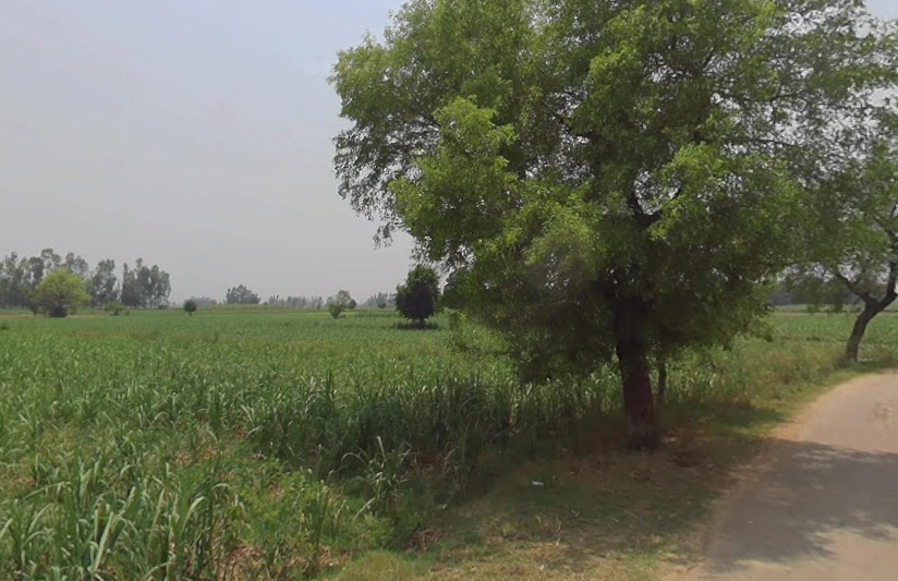 Hastinapur, Uttar Pradesh 250404, India