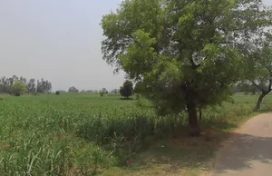 Hastinapur, Uttar Pradesh 250404, India preview 3