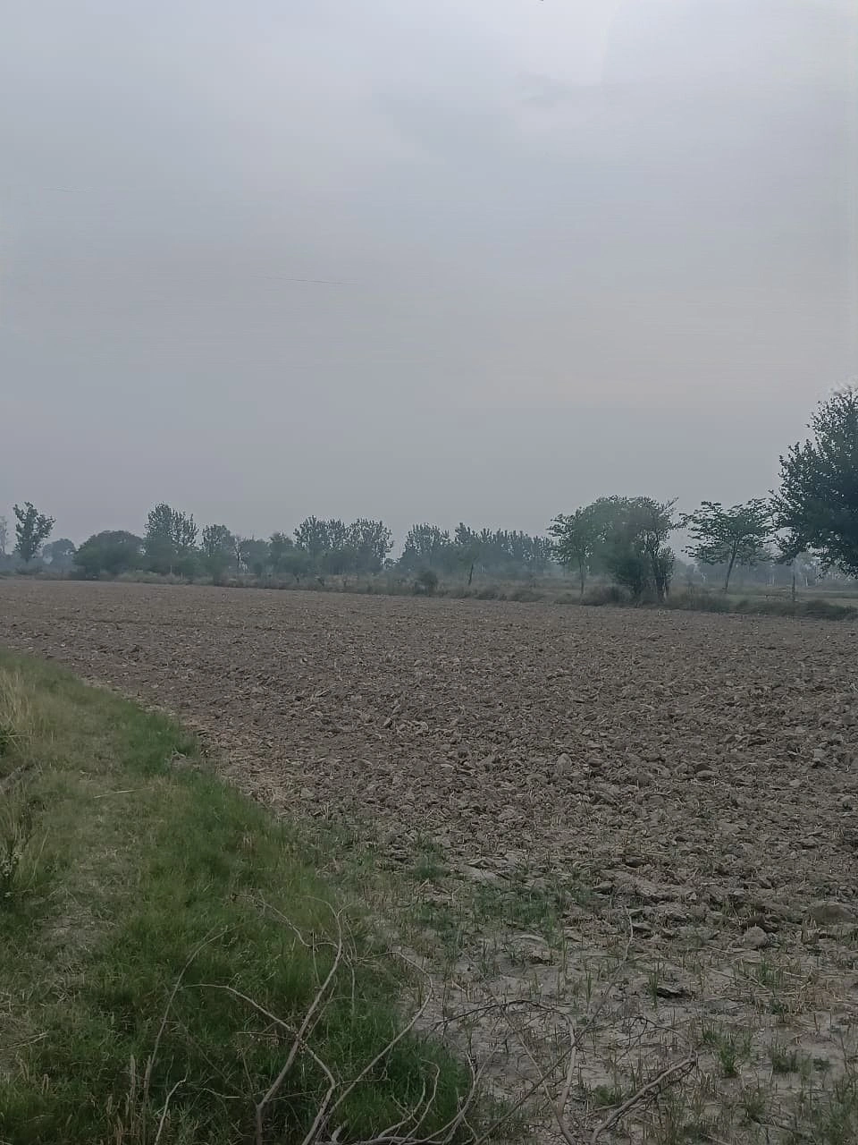 Bandai, Rajasthan 306421, India