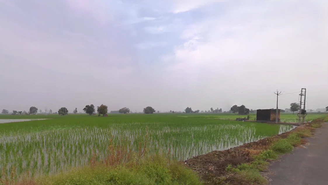 Gharaunda, Haryana 132114, India