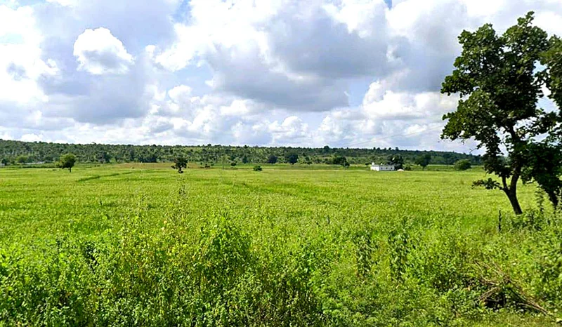 Bangrasia, Bhopal, Madhya Pradesh, India preview 3