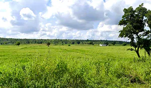 Bangrasia, Bhopal, Madhya Pradesh, India preview 3