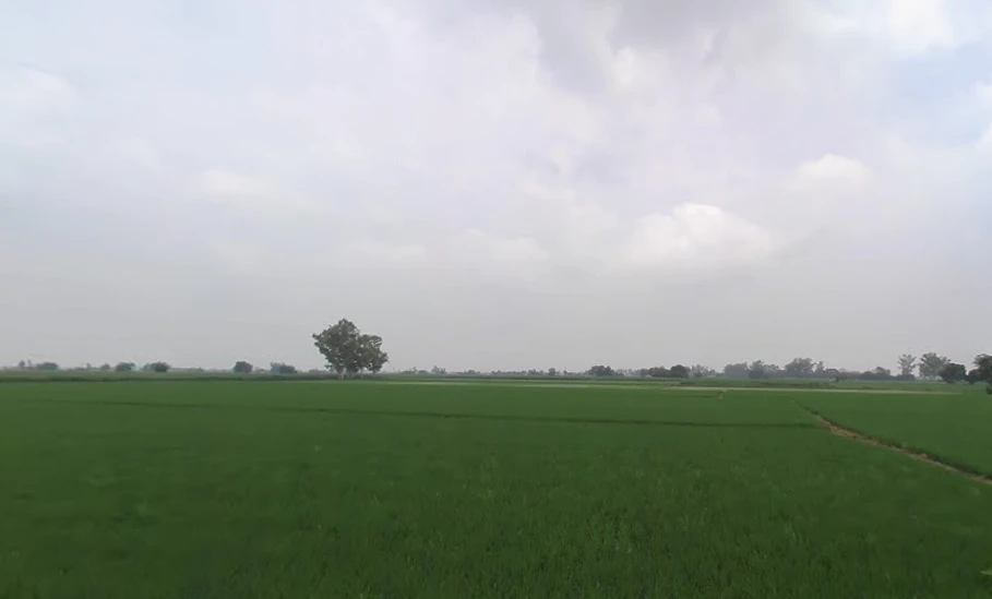 Zirakpur, Punjab, India