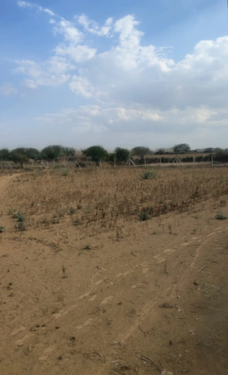Siyana, Uttar Pradesh 203412, India
