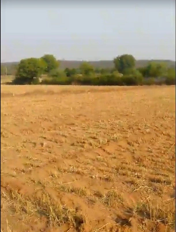 Blue Lotus Hills, Gwalior, Madhya Pradesh, India preview 3