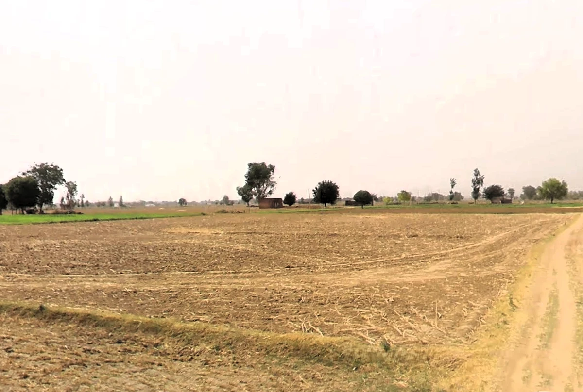 Tauru, Haryana 122105, India