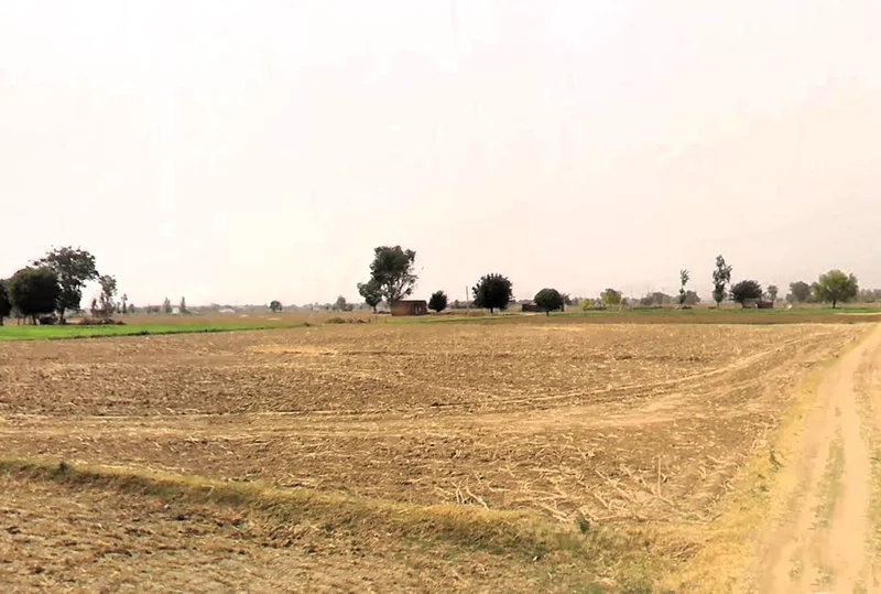 Tauru, Haryana 122105, India preview 3