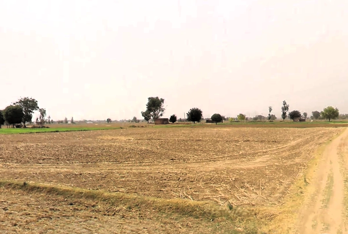 Tauru, Haryana 122105, India