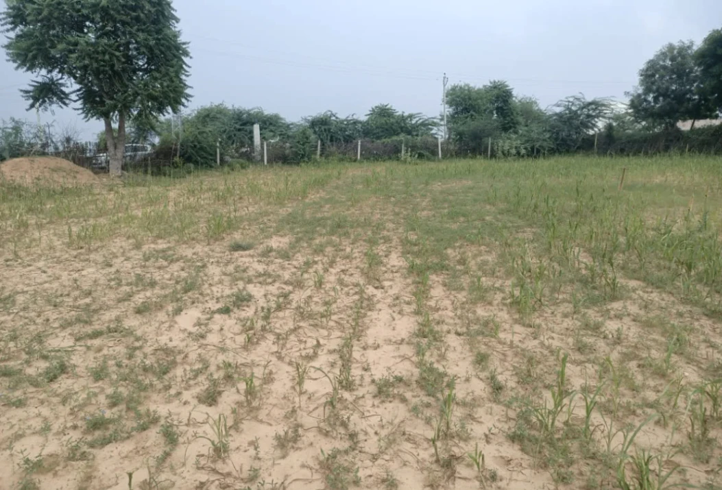 FJ97+96 Padri Kalan, Unnao, Uttar Pradesh, India