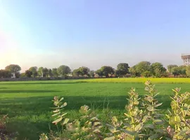 Sirsi, Jaipur, Rajasthan 302041, India preview 2