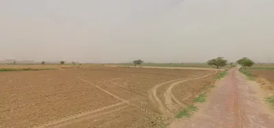 FQGV+9MX, Nasopur, Rajasthan 301001, India preview 3