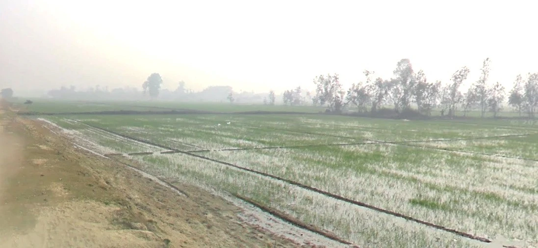 Khai Kheri, Uttar Pradesh 251310, India