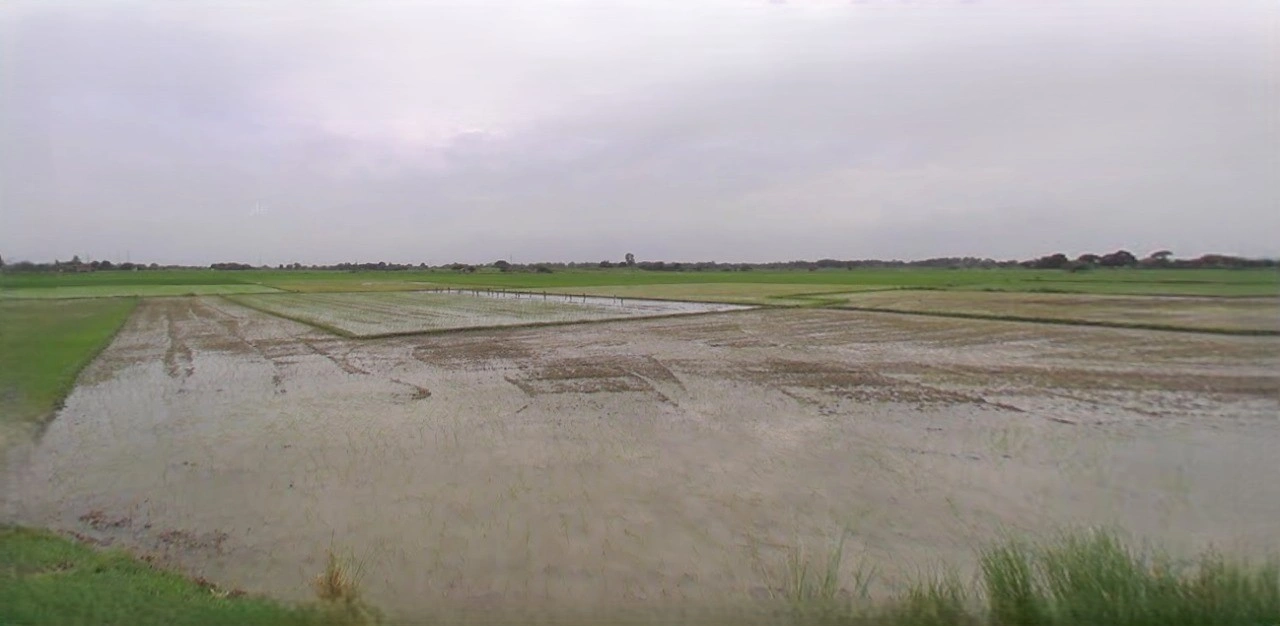 Ujjain, Madhya Pradesh, India