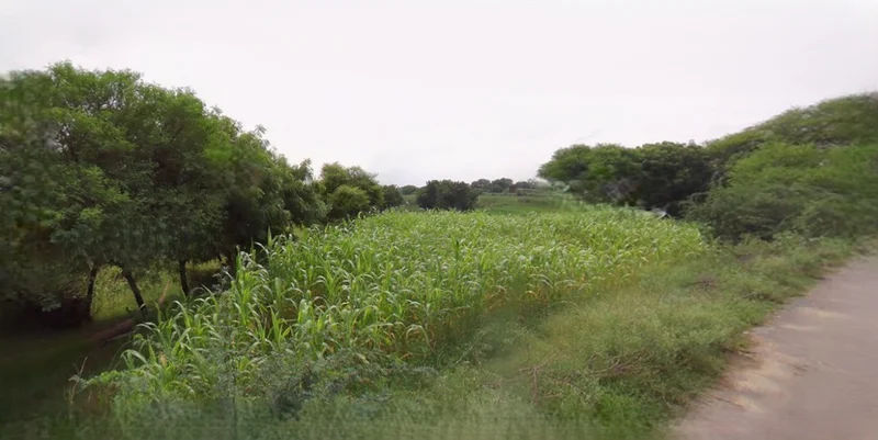 Sri Ganganagar, Rajasthan, India preview 3