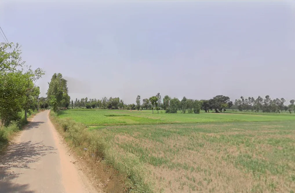 Dhanaura, Uttar Pradesh 244231, India preview 3