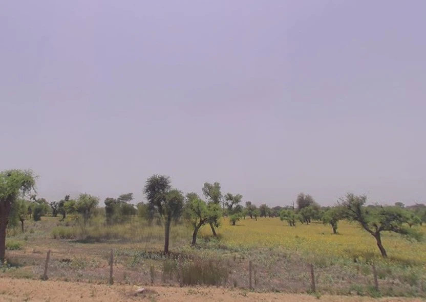 Barodameo, Rajasthan 301021, India