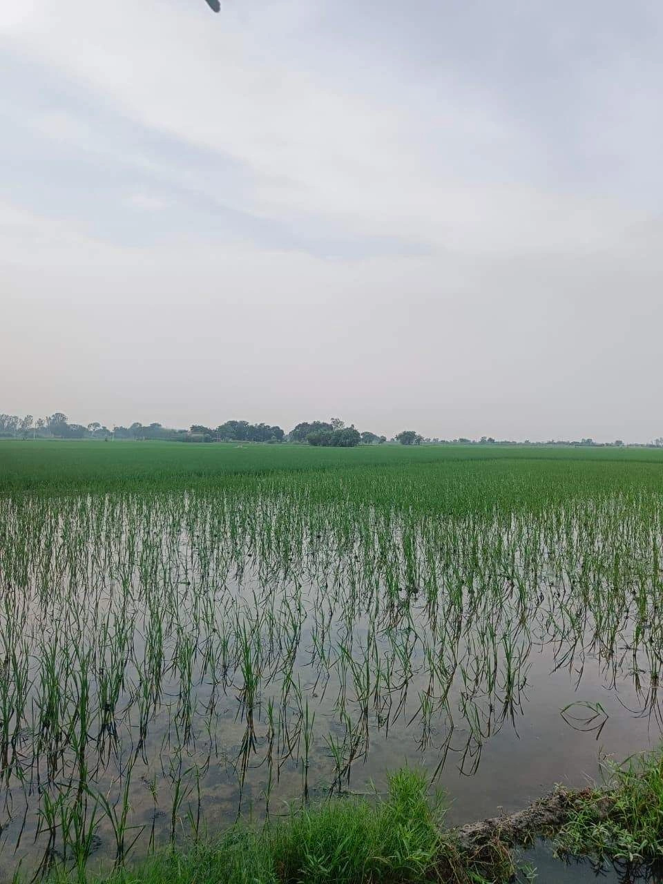 Javara, Mathura, Uttar Pradesh, India preview 2
