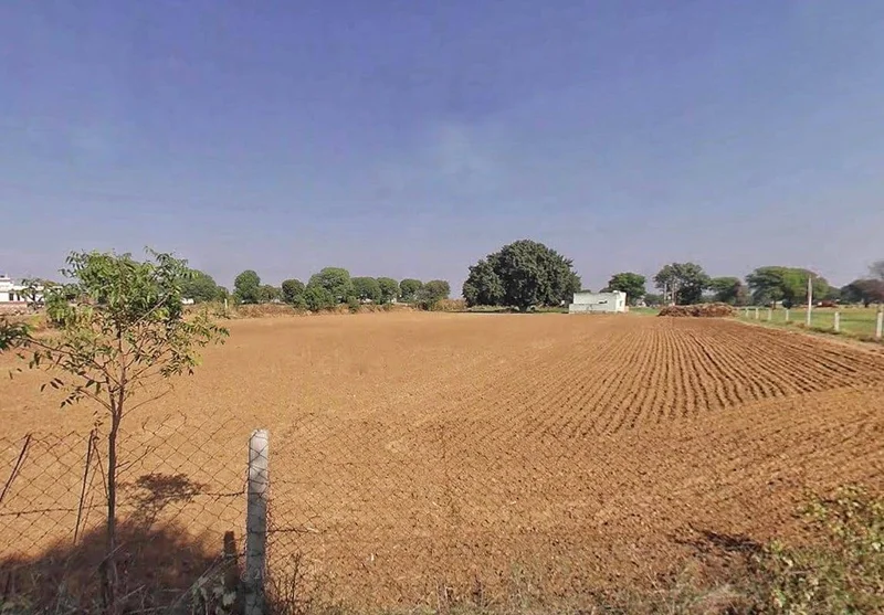 Jaipur Rd, Samod, Rajasthan 303806, India preview 3