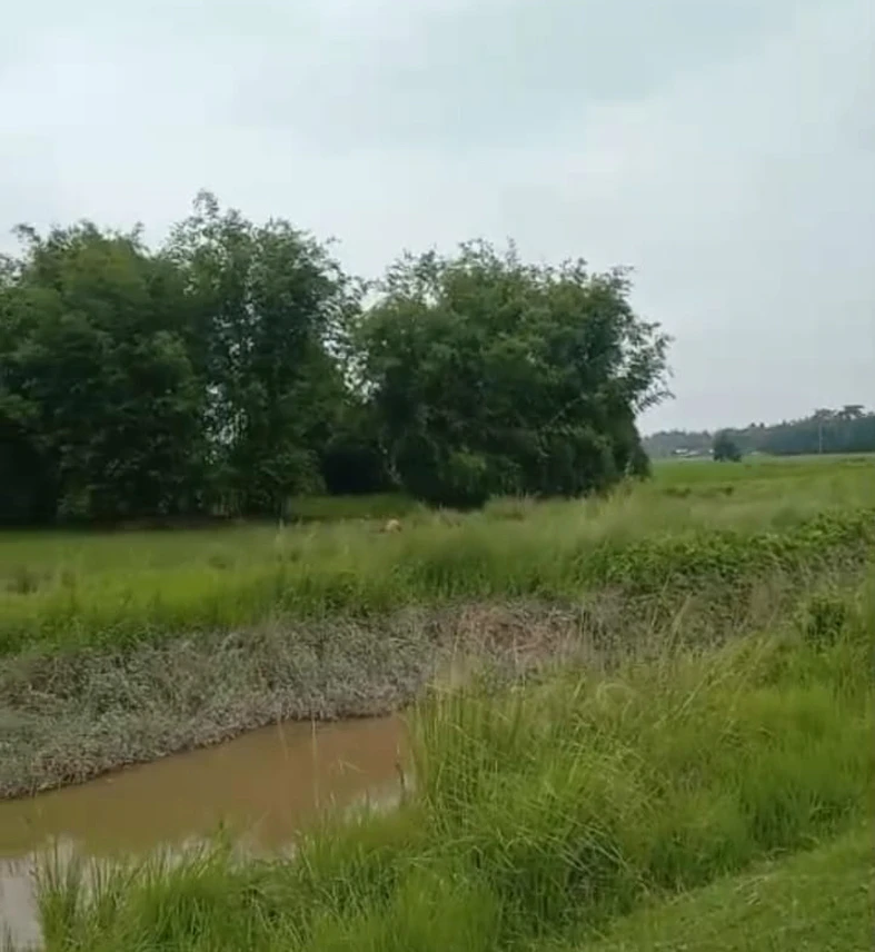 NH 37, Gotlong Main Rd, near All India Radio Center, Dolabari, Tezpur, Assam 784027, India