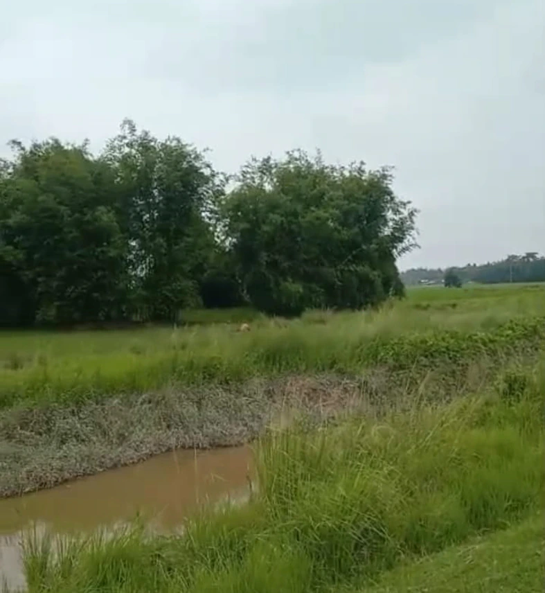 NH 37, Gotlong Main Rd, near All India Radio Center, Dolabari, Tezpur, Assam 784027, India