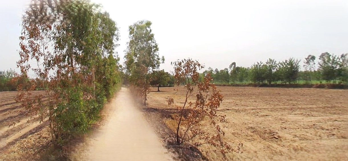 Sikandrabad, Uttar Pradesh 203205, India