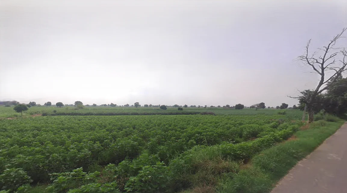 Kukrawali, Haryana, India preview 3