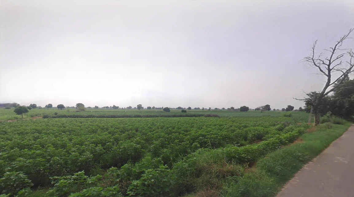 Kukrawali, Haryana, India