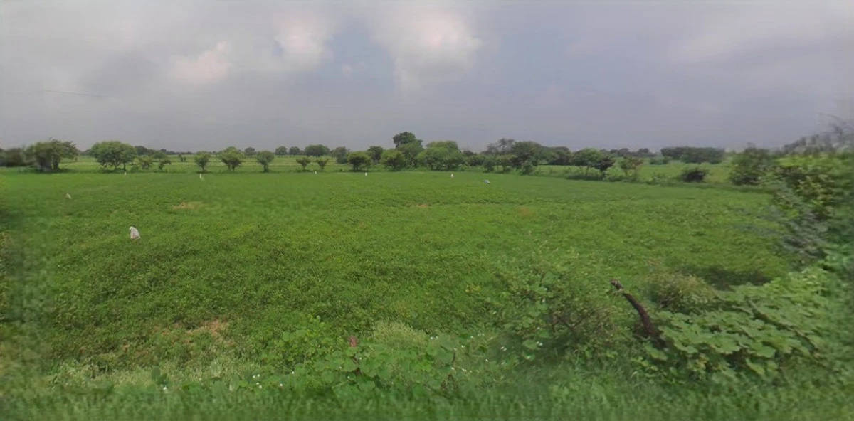 Jhajjar, Haryana 124103, India