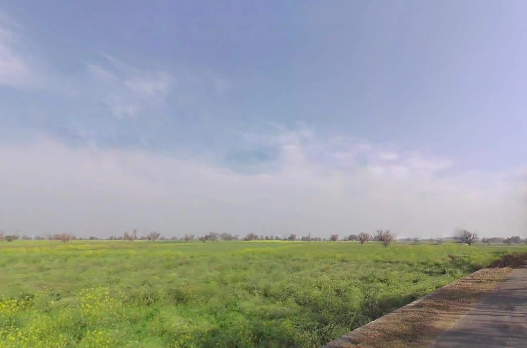 Jawli, Rajasthan 321607, India preview 2
