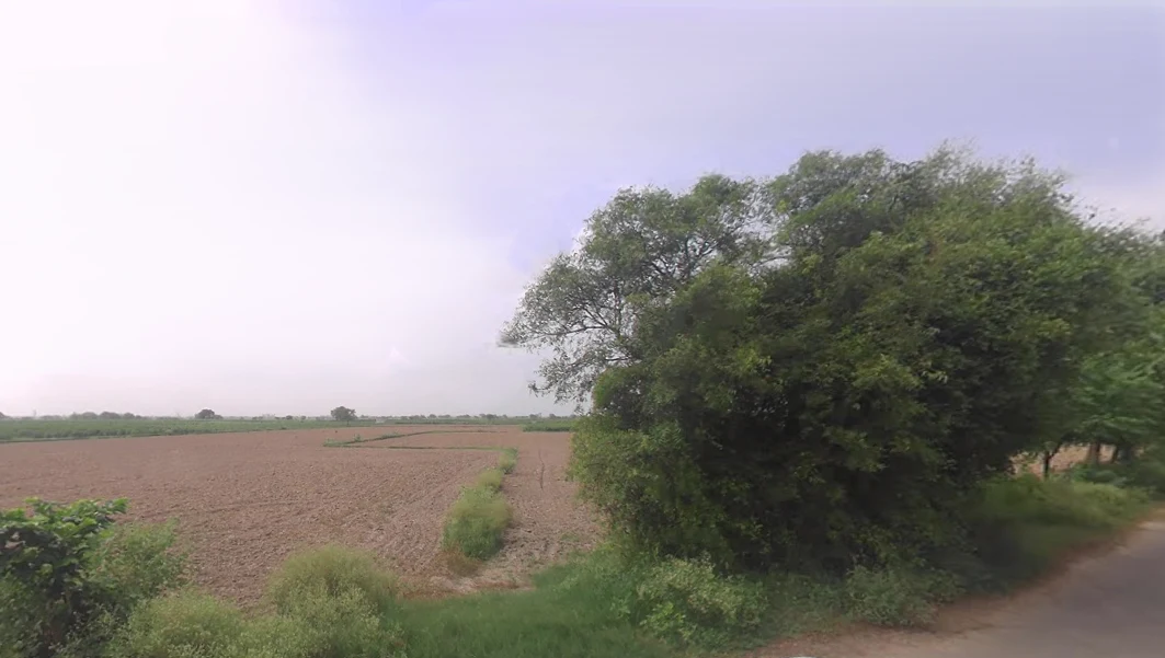 Bedwa, Haryana 124112, India preview 2