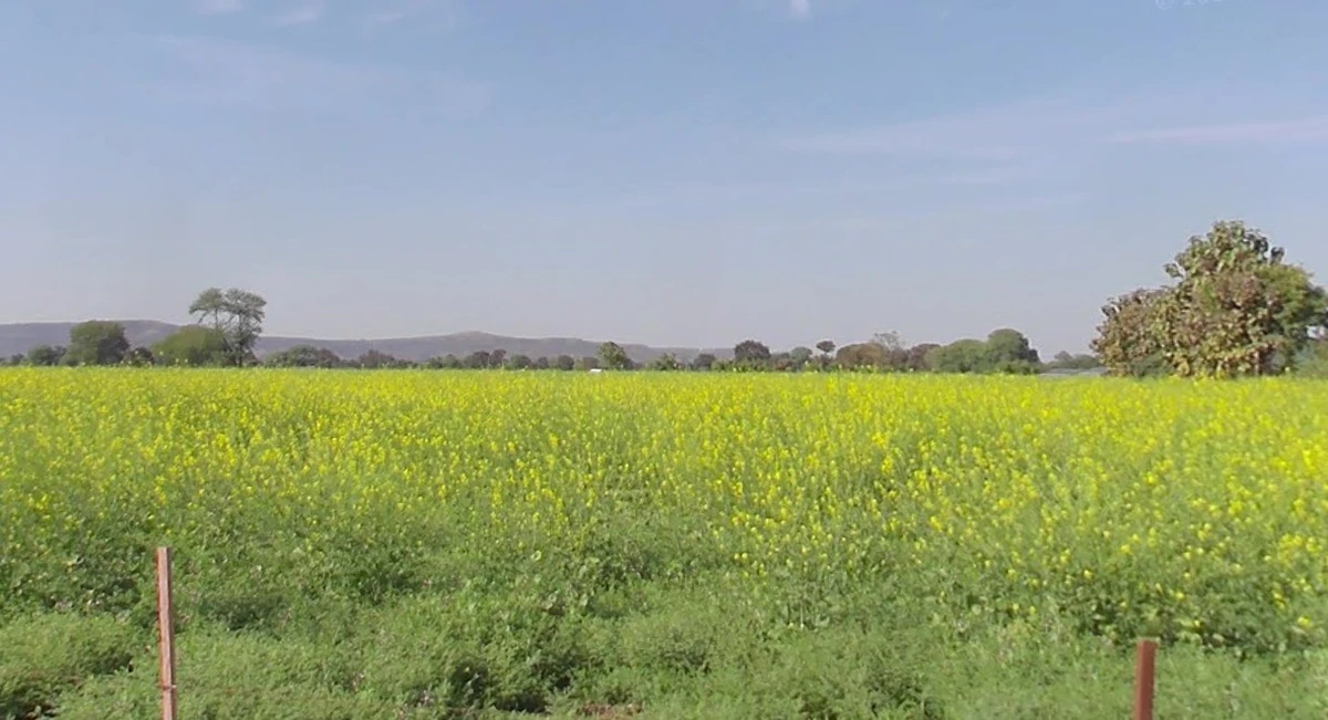 Gautampura, Madhya Pradesh 453220, India