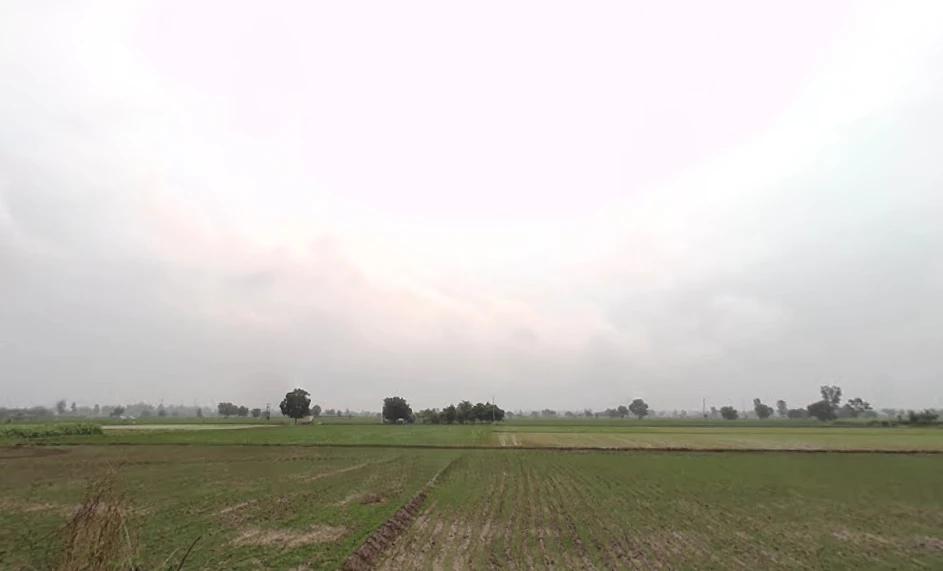 SunderPur, Haryana 126116, India