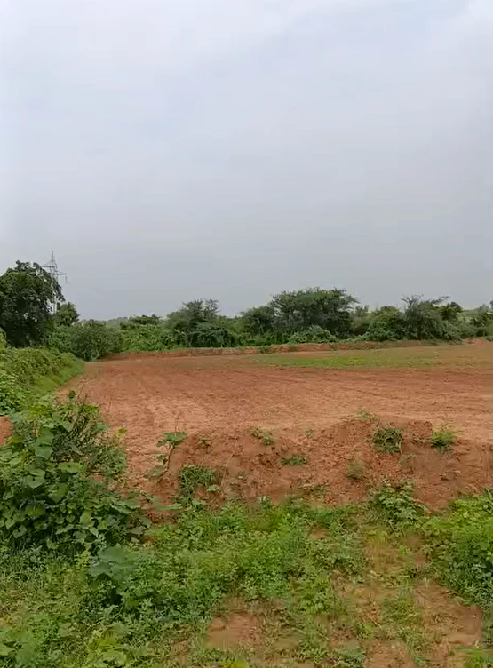 Udesipur, Sonipat, Haryana 131102, India