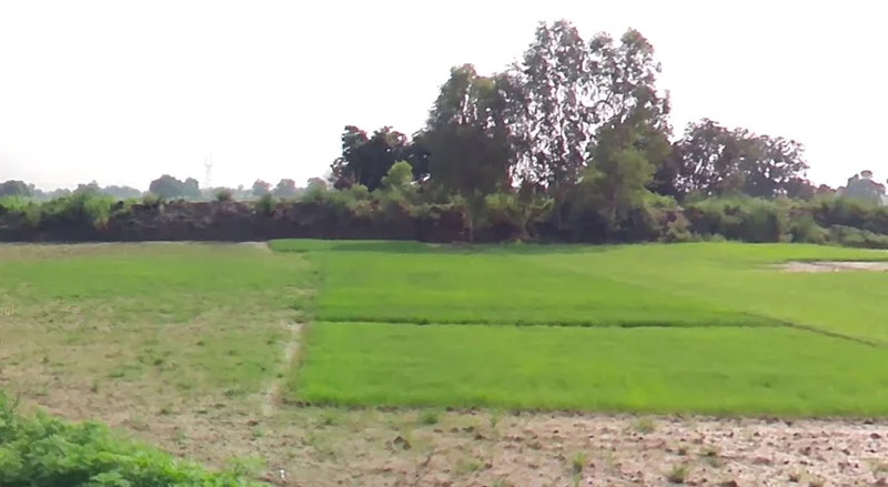 Kuluwa, Madhya Pradesh, India preview 3