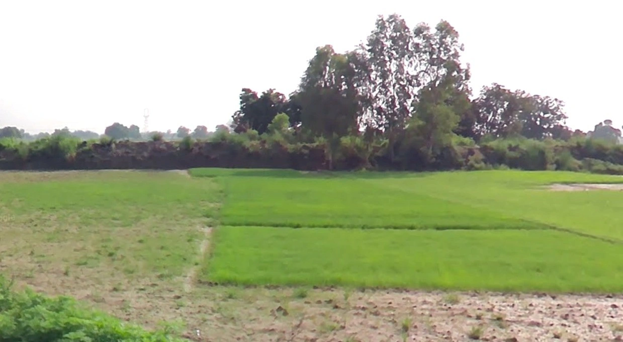 Kuluwa, Madhya Pradesh, India