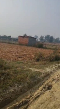 Morinda - Chunni Rd, Bhateri, Punjab, India