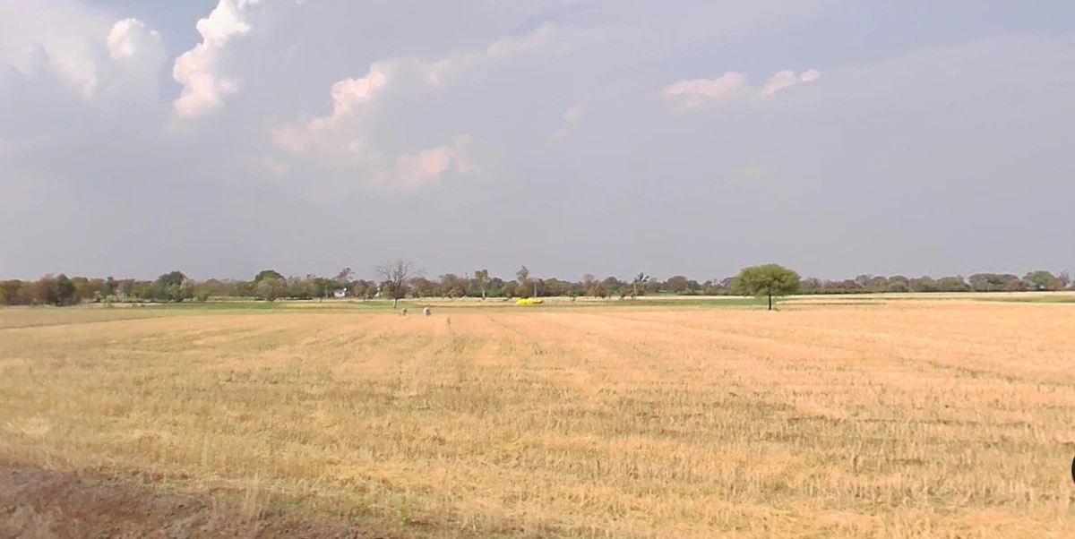 Sakhedi, Madhya Pradesh, India