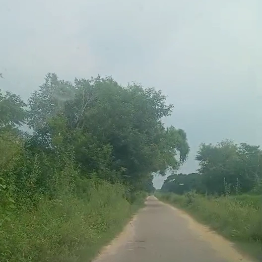 Bhatola, Bulandshahr, Uttar Pradesh 203395, India