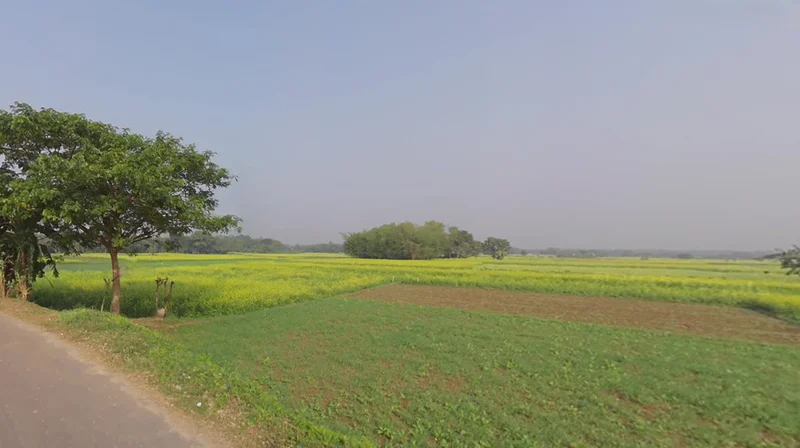 ISKCON, Chandrodaya Mandir, Mayapur, West Bengal 741313, India preview 2