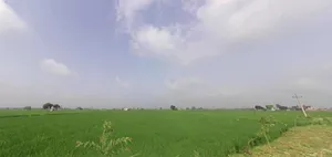 Begpur, Haryana, India preview 2