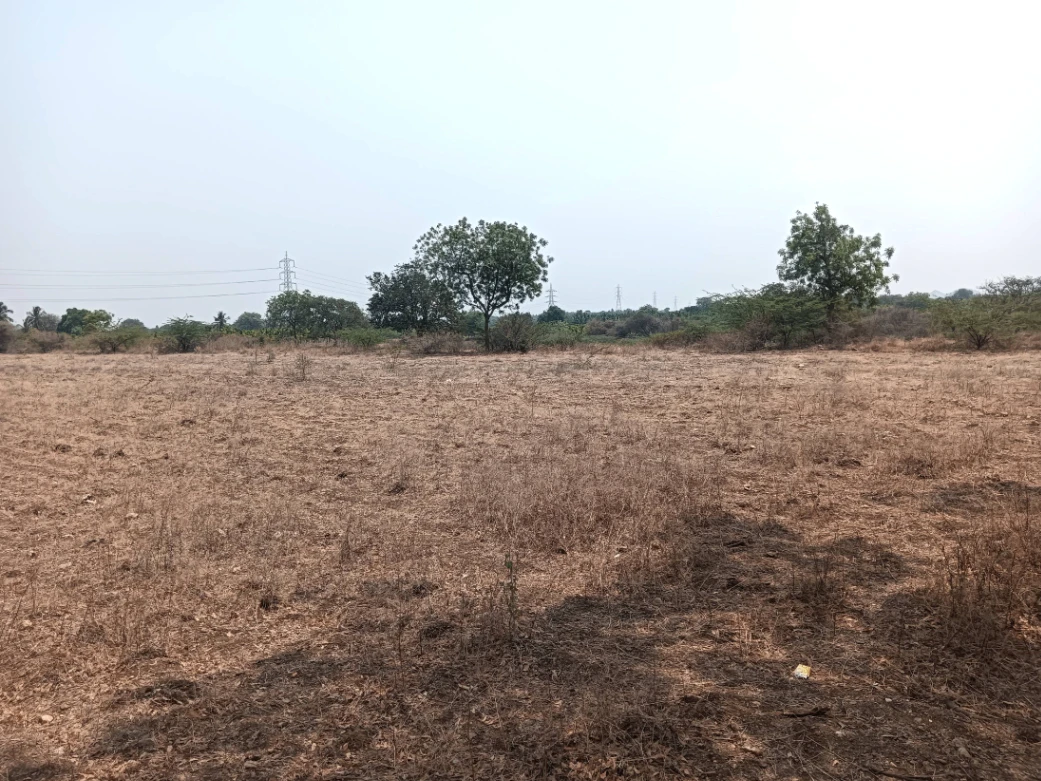 Hiriyur, Karnataka, India